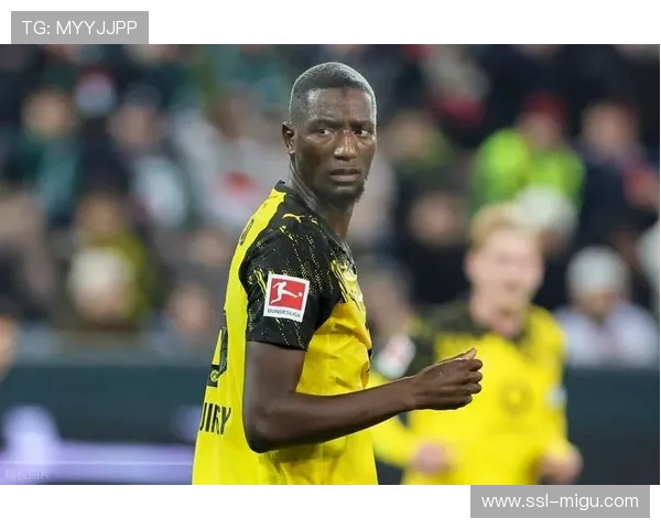 多特蒙德赛前训练开放日，千名球迷参与签名活动